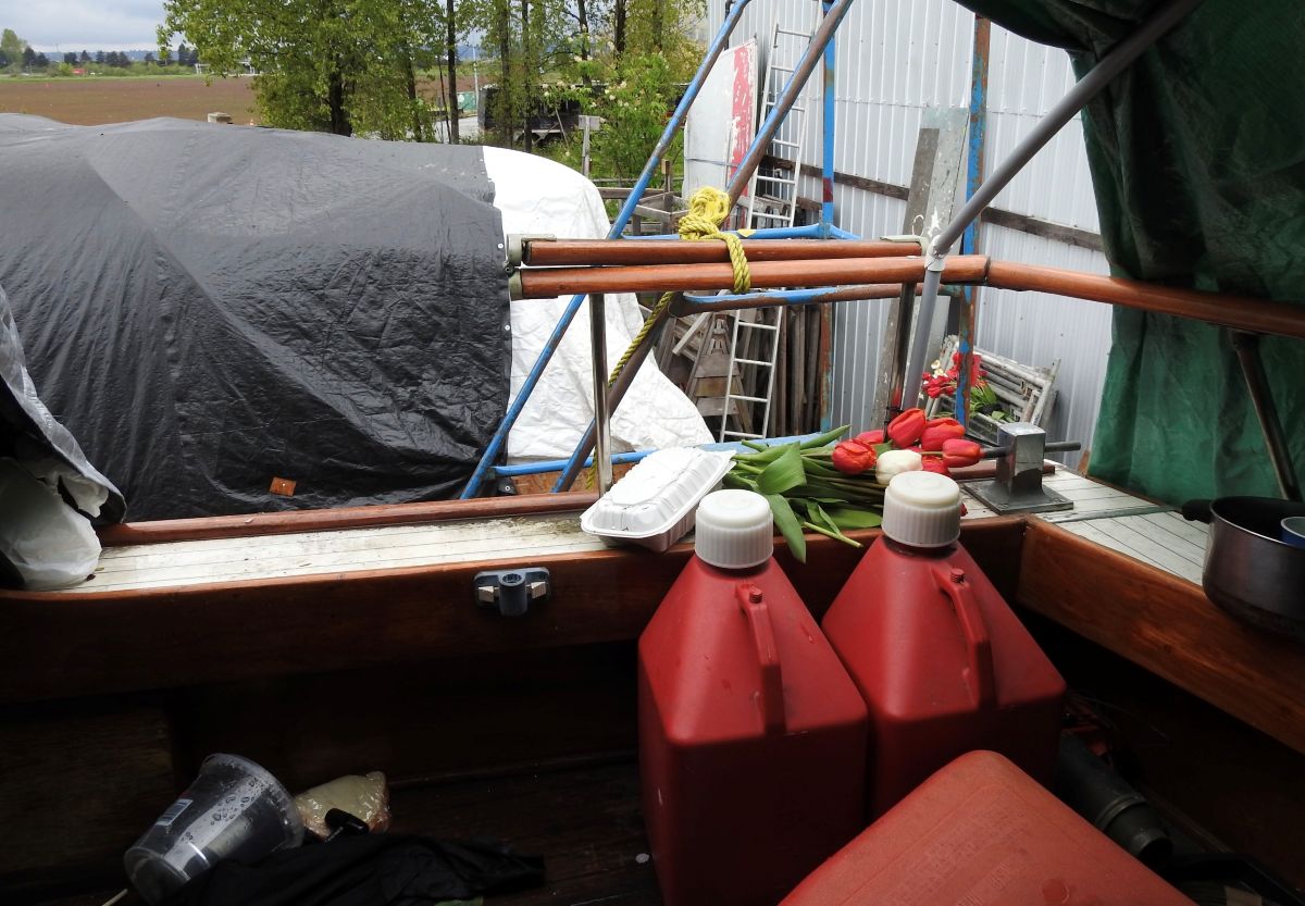 The back deck of a boat with a bunch of tulips and a takeout container on the railing.