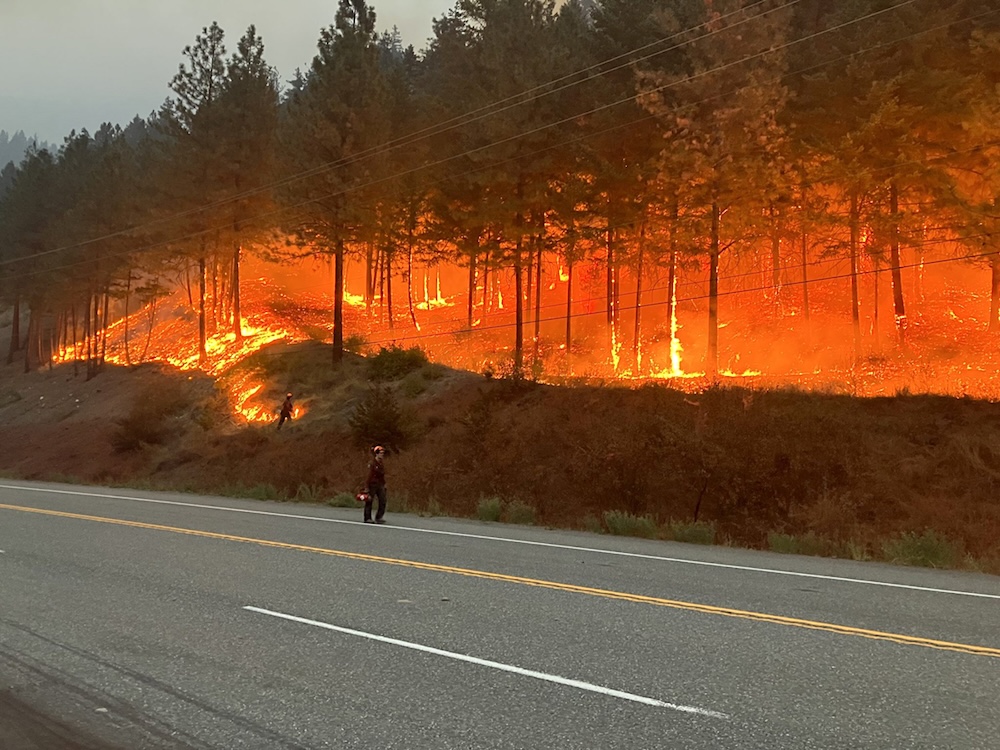 Two wildfire personnel are at work on a highway and hillside, tackling a fire adjacent to the highway. 