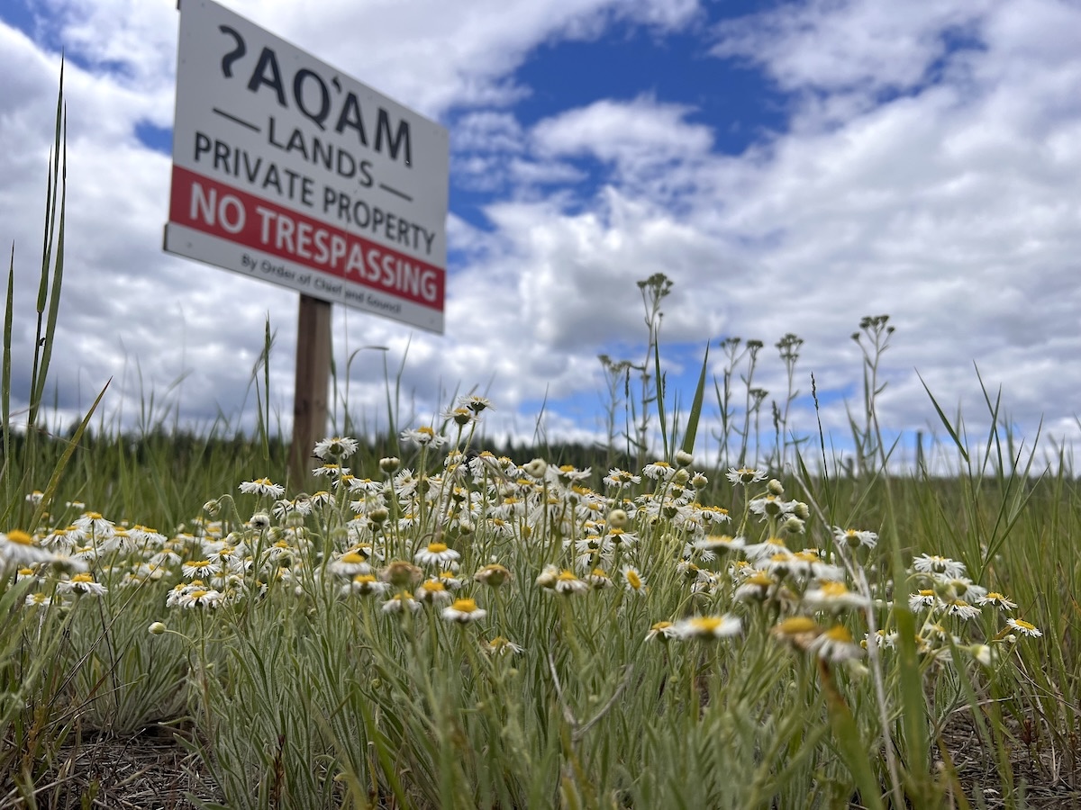 A cluster of flowers sprout below a sign that reads &lsquo;ʔaq̓am Lands, Private Property, No Trespassing.&rsquo;