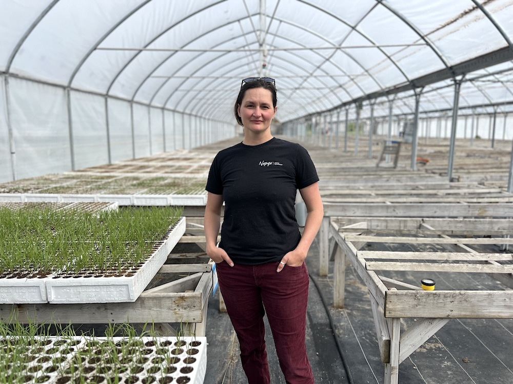A woman in red pants and a black shirt stands in the middle of a greenhouse. There are rows of wooden tables and a box of grass sprouting.